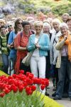 Lisse 9 mei 2009
Caroline Tensen tijdens NCRV loop in de keukenhof. De opbrengst gaat naar orange babies.
Peter Smulders bv