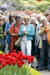 Lisse 9 mei 2009
Caroline Tensen tijdens NCRV loop in de keukenhof. De opbrengst gaat naar orange babies.
Peter Smulders bv