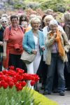 Lisse 9 mei 2009
Caroline Tensen tijdens NCRV loop in de keukenhof. De opbrengst gaat naar orange babies.
Peter Smulders bv
