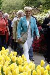 Lisse 9 mei 2009
Caroline Tensen tijdens NCRV loop in de keukenhof. De opbrengst gaat naar orange babies.
Peter Smulders bv