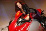 Hilversum 18 mei 2008
Chimene v Oosterhout op Mangusta motor in studio 21.
Peter Smulders bv