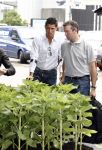 Amsterdam 8 juli 2008
Cristiano Ronaldo op krukken op vliegveld Schiphol nadat hij in Amsterdam geopereerd is aan zijn enkel.