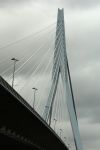 Rotterdam, 10 Februari 2008
Erasmusbrug
