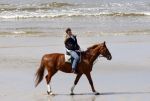 Schagen 17 april 2008
Opnames videoclip Gerard Joling met paarden op het strand. Geert Hoes en Wino Ontzigt zijn ook aanwezig.
Peter Smulders bv