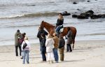 Schagen 17 april 2008
Opnames videoclip Gerard Joling met paarden op het strand. Geert Hoes en Wino Ontzigt zijn ook aanwezig.
Peter Smulders bv