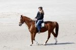 Schagen 17 april 2008
Opnames videoclip Gerard Joling met paarden op het strand. Geert Hoes en Wino Ontzigt zijn ook aanwezig.
Peter Smulders bv