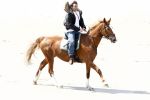 Schagen 17 april 2008
Opnames videoclip Gerard Joling met paarden op het strand. Geert Hoes en Wino Ontzigt zijn ook aanwezig.
Peter Smulders bv