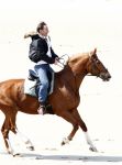 Schagen 17 april 2008
Opnames videoclip Gerard Joling met paarden op het strand. Geert Hoes en Wino Ontzigt zijn ook aanwezig.
Peter Smulders bv