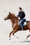 Schagen 17 april 2008
Opnames videoclip Gerard Joling met paarden op het strand. Geert Hoes en Wino Ontzigt zijn ook aanwezig.
Peter Smulders bv