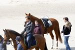 Schagen 17 april 2008
Opnames videoclip Gerard Joling met paarden op het strand. Geert Hoes en Wino Ontzigt zijn ook aanwezig.
Peter Smulders bv