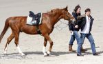 Schagen 17 april 2008
Opnames videoclip Gerard Joling met paarden op het strand. Geert Hoes en Wino Ontzigt zijn ook aanwezig.
Peter Smulders bv