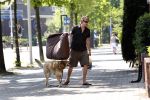 Amsterdam 10 mei 2008
Gijs Staverman met zijn hond in BMW cabrio en wandelend op straat met honden kussen