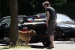 Amsterdam 10 mei 2008
Gijs Staverman met zijn hond in BMW cabrio en wandelend op straat met honden kussen
