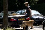 Amsterdam 10 mei 2008
Gijs Staverman met zijn hond in BMW cabrio en wandelend op straat met honden kussen