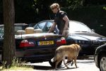 Amsterdam 10 mei 2008
Gijs Staverman met zijn hond in BMW cabrio en wandelend op straat met honden kussen