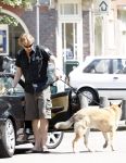 Amsterdam 10 mei 2008
Gijs Staverman met zijn hond in BMW cabrio en wandelend op straat met honden kussen