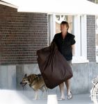 Amsterdam 10 mei 2008
Gijs Staverman met zijn hond in BMW cabrio en wandelend op straat met honden kussen