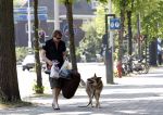 Amsterdam 10 mei 2008
Gijs Staverman met zijn hond in BMW cabrio en wandelend op straat met honden kussen