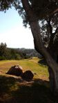 Marbella, Golfbaan Marbella Golf 2007