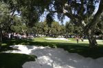 4 November 2007 Valderrama Golfclub ( Spanje )
Finaledag Volvo Masters Seizoen 2007
Green van Hole 10 Golfbaan Valderrama