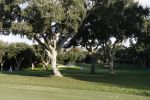 4 November 2007 Valderrama Golfclub ( Spanje )
Hole 2