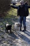 Diemen 14 februari 2009
Huub en resie Stapel en hun hond Nero doen mee met tocht voor het goede doel ivm honden in het Diemer Bos.
Peter Smulders bv