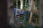 Huizen 3 februari 2008
De auto van Jeroen Rietbergen heeft de hele nacht bij zijn vriendin Linda de Mol binnen het hek gestaan.