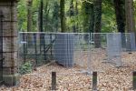 Lage Vuursche 28 oktober 2007
Verbouwing en nieuwe hekken rondom kasteel Drakensteynn waar koningin Beatrix weer gaat wonen.
Drakestein  Drakenstein  Drakesteyn