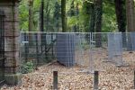 Lage Vuursche 28 oktober 2007
Verbouwing en nieuwe hekken rondom kasteel Drakensteynn waar koningin Beatrix weer gaat wonen.
Drakestein  Drakenstein  Drakesteyn