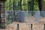 Lage Vuursche 28 oktober 2007
Verbouwing en nieuwe hekken rondom kasteel Drakensteynn waar koningin Beatrix weer gaat wonen.
Drakestein  Drakenstein  Drakesteyn