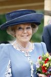 Amsterdam 9 mei 2009
Koningin Beatrix bezoekt de wijk de bijlmer ivm kunst die daar geplaatst is.
Peter Smulders bv