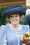 Amsterdam 9 mei 2009
Koningin Beatrix bezoekt de wijk de bijlmer ivm kunst die daar geplaatst is.
Peter Smulders bv