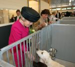 Herpen ( Gemeente Oss ),  27 Mei 2008
Koningin Beatrix bij opening van het nieuwe gebouw 