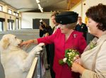 Herpen ( Gemeente Oss ),  27 Mei 2008
Koningin Beatrix bij opening van het nieuwe gebouw 
