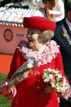 Apeldoorn 30 april 2009
Koninginnedag 2009 in apeldoorn met Koningin Beatrix Pieter v Vollenhoven Prinses Margriet Maxima Prins Willem Alexander Prins Constantijn Prinses Laurentien Prinses Mabel Prins Friso Prins Maurits Prinses Marilene Prins Pieter Christiaan Prinses Anita Prins Floris een zwangere Prinses Aimee en Prinses Annette. s middags probeerde een dwaas een aanslag te plegen op de koninklijke familie waarbij meerdere doden vielen.
Peter Smulders bv