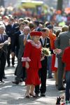Apeldoorn 30 april 2009
Koninginnedag 2009 in apeldoorn met Koningin Beatrix Pieter v Vollenhoven Prinses Margriet Maxima Prins Willem Alexander Prins Constantijn Prinses Laurentien Prinses Mabel Prins Friso Prins Maurits Prinses Marilene Prins Pieter Christiaan Prinses Anita Prins Floris een zwangere Prinses Aimee en Prinses Annette. s middags probeerde een dwaas een aanslag te plegen op de koninklijke familie waarbij meerdere doden vielen.
Peter Smulders bv