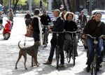 Amsterdam 11 mei 2009
Mart Visser met zijn hond fietsend in amsterdam.
Peter Smulders bv