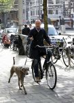 Amsterdam 11 mei 2009
Mart Visser met zijn hond fietsend in amsterdam.
Peter Smulders bv