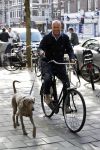 Amsterdam 11 mei 2009
Mart Visser met zijn hond fietsend in amsterdam.
Peter Smulders bv