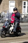 Amsterdam 22 april 2009
Menno Kohler op zijn vespa scooter met zijn hond.
Peter Smulders bv