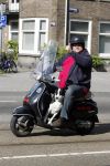 Amsterdam 22 april 2009
Menno Kohler op zijn vespa scooter met zijn hond.
Peter Smulders bv
