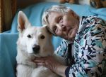 Linschoten, 20 Maart 2009
100 euro aktie.
Mevr. Ultee met haar man en hond
Foto Peter Smulders BV