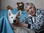 Linschoten, 20 Maart 2009
100 euro aktie.
Mevr. Ultee met haar man en hond
Foto Peter Smulders BV
