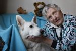 Linschoten, 20 Maart 2009
100 euro aktie.
Mevr. Ultee met haar man en hond
Foto Peter Smulders BV