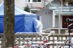 Amsterdam 24 maart 2009
Een man van 69 jaar is tijdens de ppauze vermoord op de Montessori school in amsterdam zuid.De politie was in grote getale aanwezig.
Peter Smulders bv