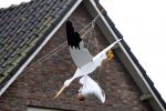 Huizen 16 januari 2009
Nance Coolen haar huis versierd na geboorte van zoontje Robin.
Peter Smulders bv