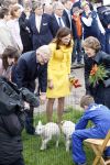 Makkum en Franeker30 april 2008
Koninginnedag 2008 met Koningin Beatrix Prins Willem Alexander Friso Constantijn Maurits Floris Pieter Christiaan Pieter v Vollenhoven en de prinsessen Maxima Laurentien Mabel Aimee Anita Margriet en Marilene.
Peter Smulders bv