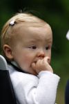 Wassenaar 11 juli 2008
Foto uurtje met prinses Maxima Prins Willem Alexander  en hun dochters Prinses Amalia Prinses Alexia en Prinses Ariane . 
Ze komen aanrijden in bakfiets.