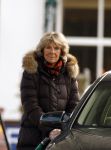 Wijk bij Duurstede 28 februari 2009
Prinses Irene staat te tanken.
Peter Smulders bv
