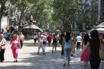 Barcelona, 26 Juni 2008
De Ramblas